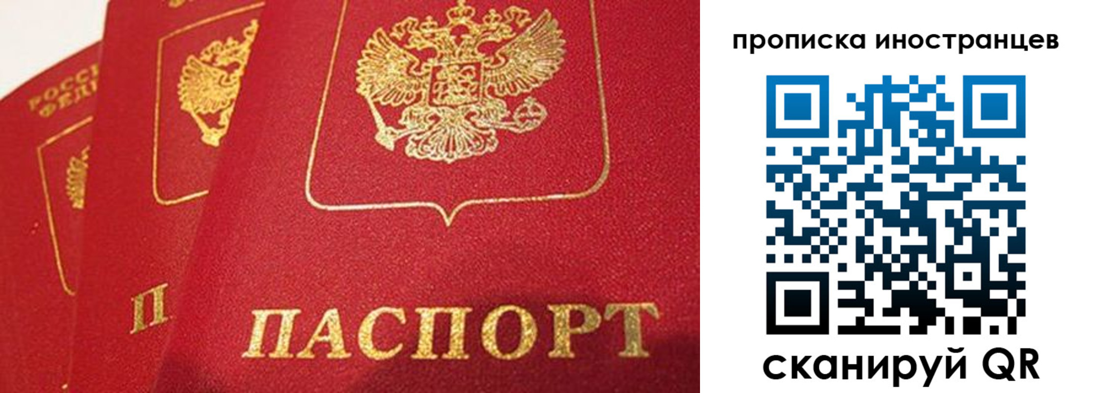 прописка поиск в Забайкальском крае